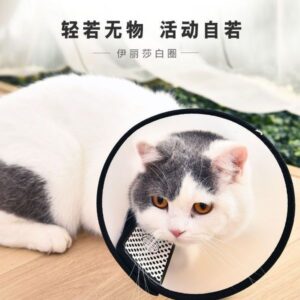 E Collar For Cats - Image 3